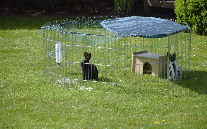 dobar Freilaufgehege